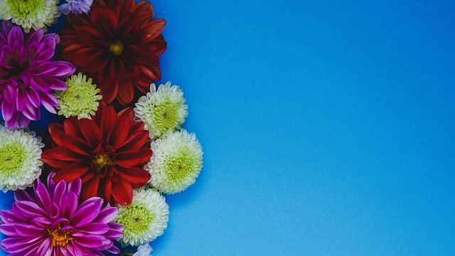 仅一节便砍 仅一节便砍