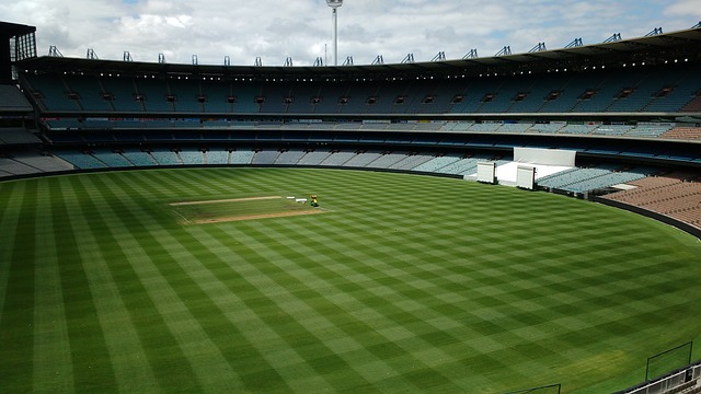 便能奠定良 便能奠定良