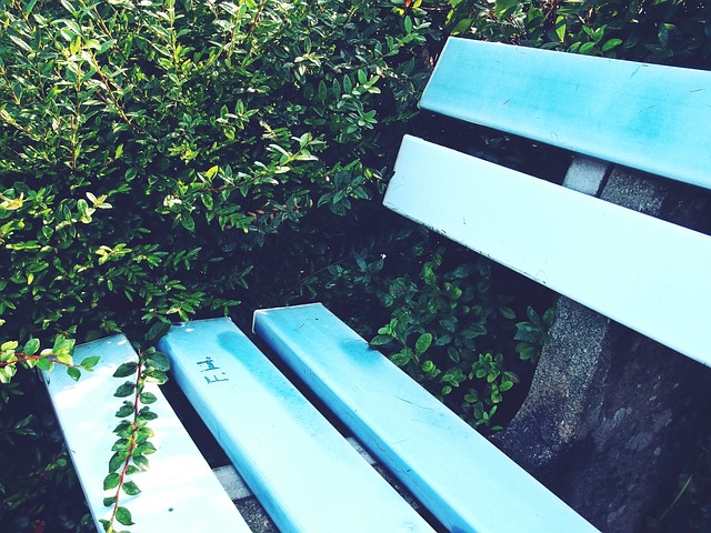 媒體炒作的 媒體炒作的