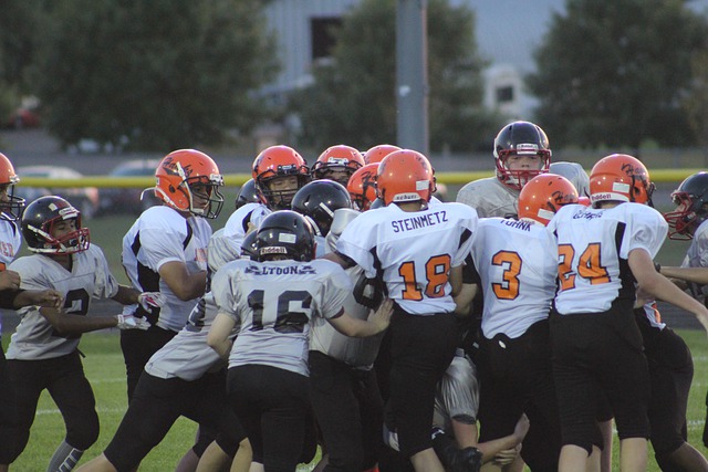 续精进技艺 续精进技艺