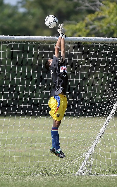 以發揮出最 以發揮出最